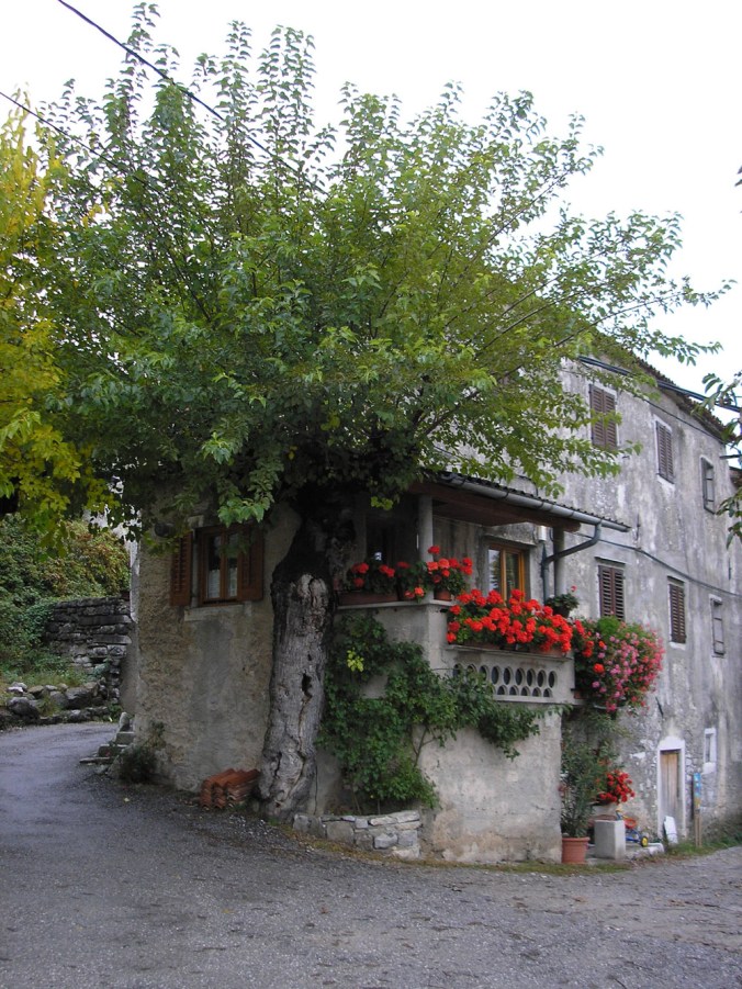 kamnita hiša, kamnita gradnja, gradnja iz kamna, naravna hiša, naravna gradnja, gradnja z naravnimi materiali, arhitekt, murva