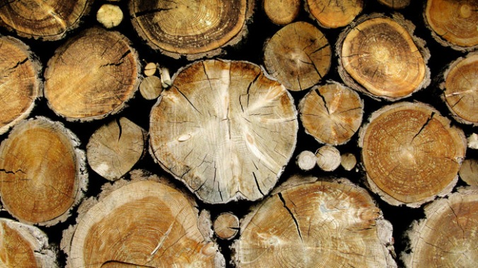 les, lesena bruna, naravni material, naravna gradnja, gradnja z naravnimi materiali
