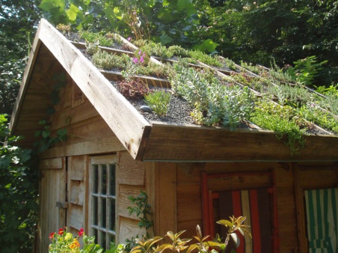 zelena streha, naravna hiša, naravna gradnja, lesena hiša