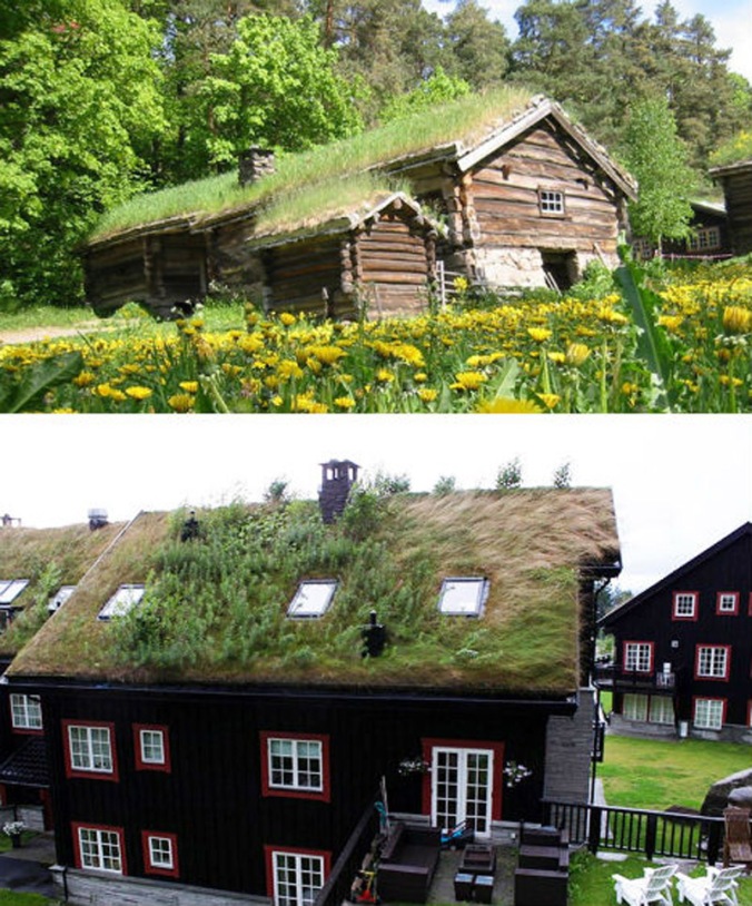 zelena streha, ozelenjena streha, naravna hiša, naravna gradnja, gradnja z naravnimi materiali, lesena hiša
