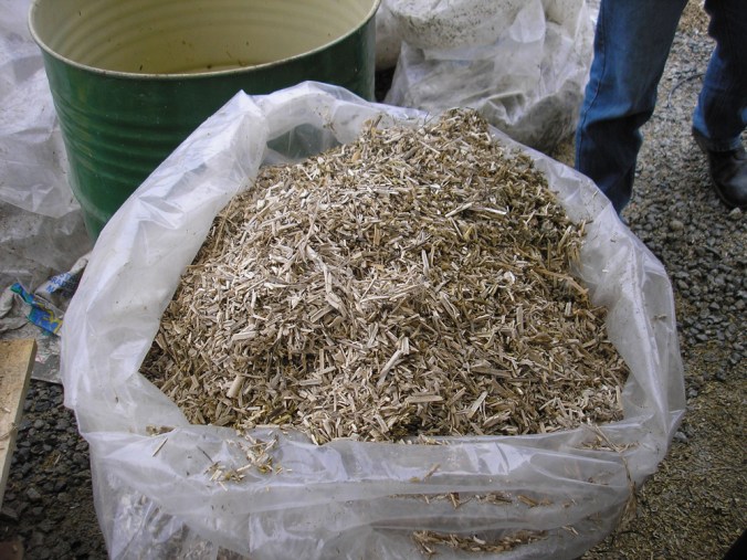 konopljin pezdir, hiša iz konoplje, hiša iz konopljinega betona, naravna gradnja, hiša iz konoplje arhitekt, lesena hiša, gradnja z naravnimi materiali, naravna gradnja arhitekt