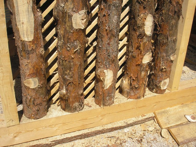 spodbijanca, hiša iz sena, naravna gradnja, gradnja z naravnimi materiali, naravna hiša